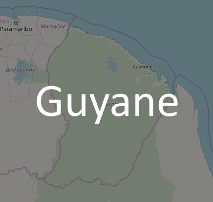 Copie d'écran : carte de la Guyane