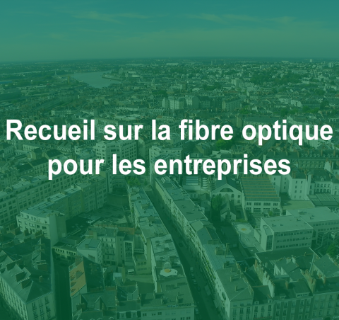 La fibre optique pour les entreprises
